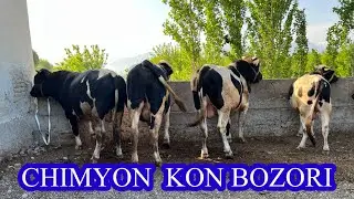 CHIMYON KON BOZORI, Mol Quy Narhlari 24,04,2024 Zo’r