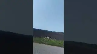 29 августа 2024 г.