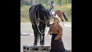 Fridressyr Färila 2013