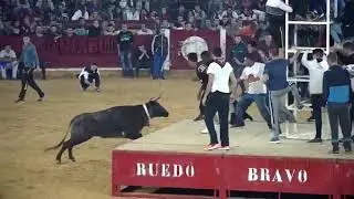 Videos Engraçados Dangerous Bull Fight Accidents Compilation 2018 Lucky and Funny People Fail Video