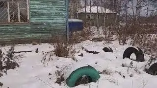 Совгавань, прогулка в адрес, ул.15П/партизан,д.75...,21.11.23г.