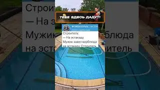 В пустыне на верблюде #шортс #анекдоты  #приколы