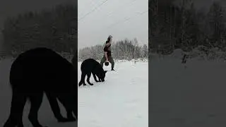 #гири