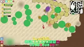 Project Oracle Super Beetle Egg [Bonus Footage]