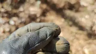 Монеты... Франции