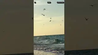 OpenAI o1-Pro API. Stability AI Stable Virtual Camera: image to 3D Tencent open-source AI: 3D visual