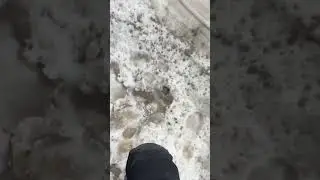At sach pass snowfall #rider #trending #viral #mountains #snow #sachpass #enjoy