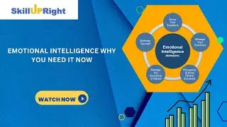 Emotional Intelligence Why You Need it Now - SkillUpRight