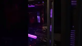 G-Skills Trident with their RGB app.