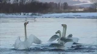 癒しの水風景「水園」でリフレシュ!!  水と光の情景写真家　高橋福生