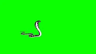 snake green screen video no copyright free animation walking snake
