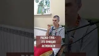 Раджа-гуна -  это принцип активности. Вишну-таттва дас