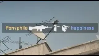 average csgo experience