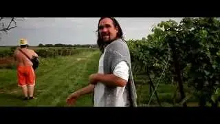 Geld et Nelt - Rieslinge