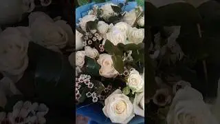 Nature of love #shorts #viralshorts #shocking #nature #beautiful #flowers #love #gift #youtubeshorts