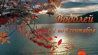 Водолей Таро прогноз на неделю 2 - 8 сентября 2024 года.