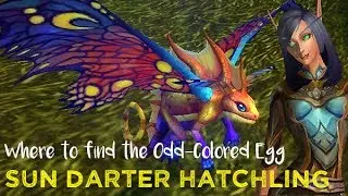 Sun Darter Hatchling Guide - Odd-Colored Egg