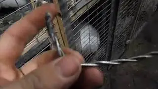 Самый дешевый способ лечения переломов конечностей у кролика