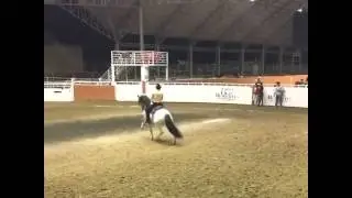 Torneo Arena Vallarta 2017 - Beto Peña