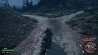DAYS GONE Triple horde
