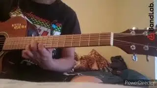 lady gaga (requinto)