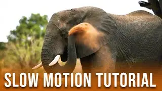 Slow Motion Video Tutorial!