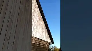 10 сентября 2024_Московская обл_Рузский район_деревня Новогорбово_посёлок Колюбакино #дача #тучково