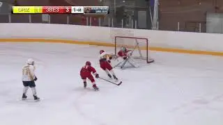 Grizzly - Звезда| 2007 | Highlights | 22.12.19