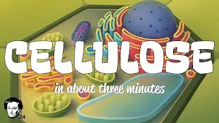 Cellulose in about 3 minutes