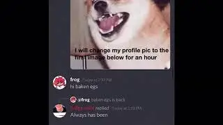 I should not be allowed to use Discord