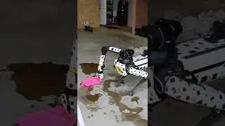 Making the robot dog do the chores #bostondynamics #spot #robot #shorts