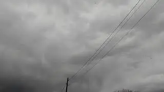 Гуси над поселком Карабалык Комсомолец