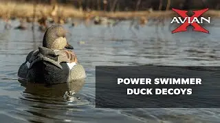 Avian X Power Swimmers