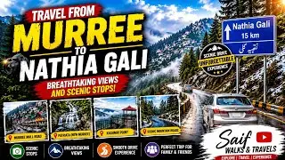 Travel from Murree to Nathia Gali: Breathtaking Views and Scenic Stops