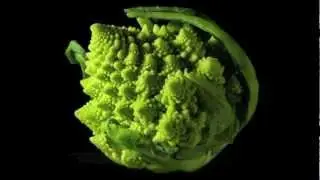 Fun with Fractals