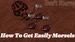 How To Get Very Easily Morsels With Rabbits