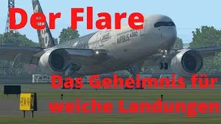 So wichtig ist der 