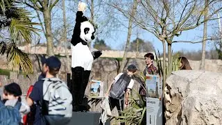 Un parcours artistique inédit au ZooParc de Beauval