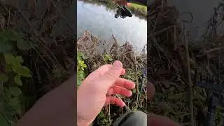 Wait for it… 😉🎣 “That’s a fish!”
