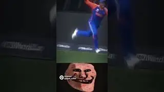 Unbelievable catch