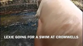 LEXIE GOING FOR A SWIM AT CROMWELLS