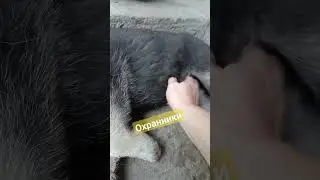 Ночью веселье, а днём сонное царство!