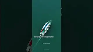 25 августа 2024 г.