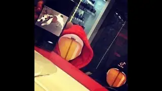 Зачем она это сделала?