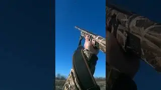 #охотанауток #охота #охотанагуся