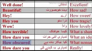 lesson forty six Three words to express feelings by Tariq Aziz