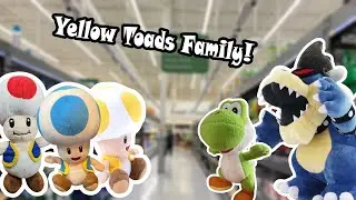 YPP 2: Yellow Toad's Family!