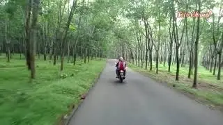 Vlog Perjalanan //Alaska kec Kerjo // Alas Karet