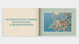 How To Use Patterned Backgrounds and Framed Borders in Mimeo Photos