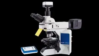 The structure of the Fluorescence microscope MF43-N